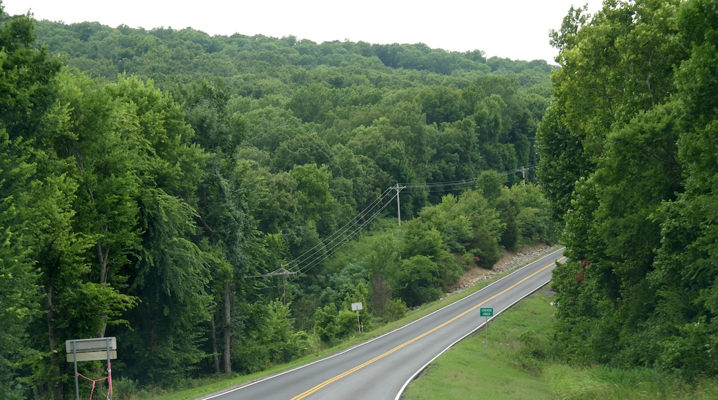 Paved road to Chicken Creek close to Tenkiller, Oklahoma
