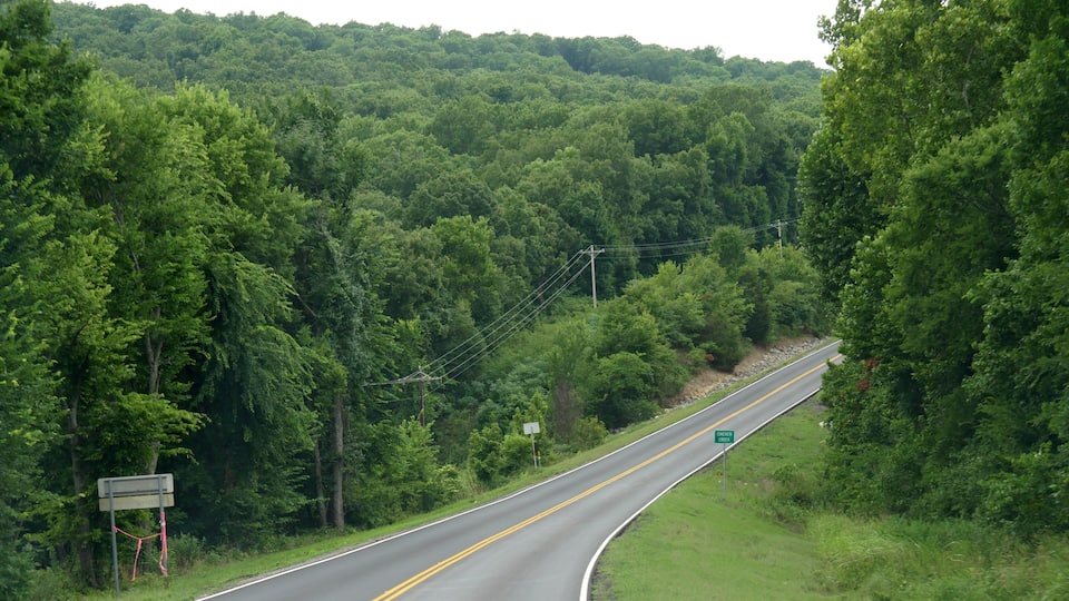 A curving road with a green sign indicating 'Chicken Creek.'