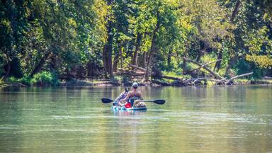Man and blue heeler dog floating-paddling river together on paddleboard with bokeh forest in background - tranquil scene