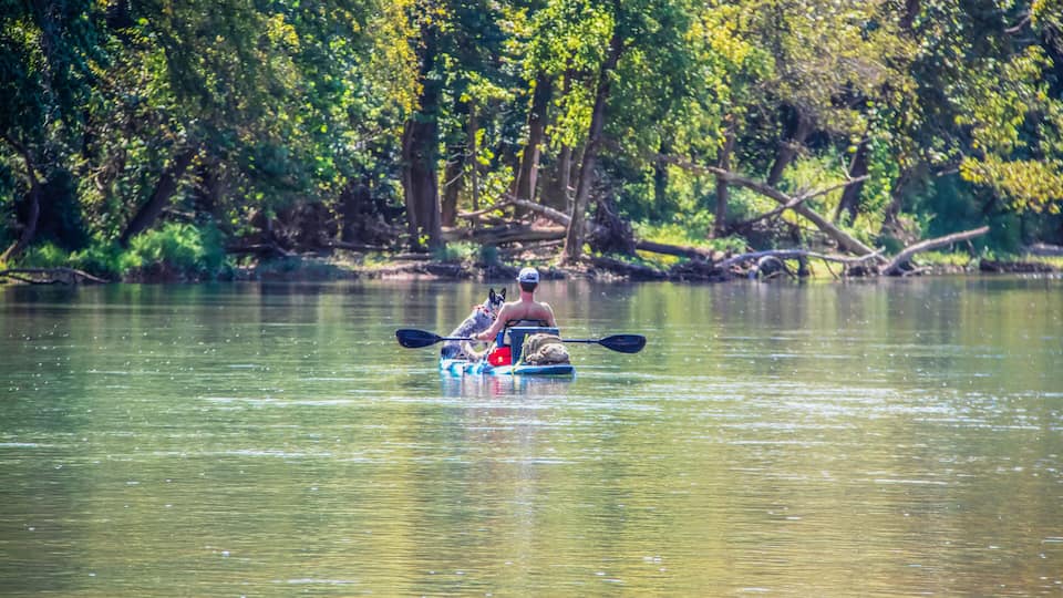 A person kayaking on a calm river surrounded by dense trees.