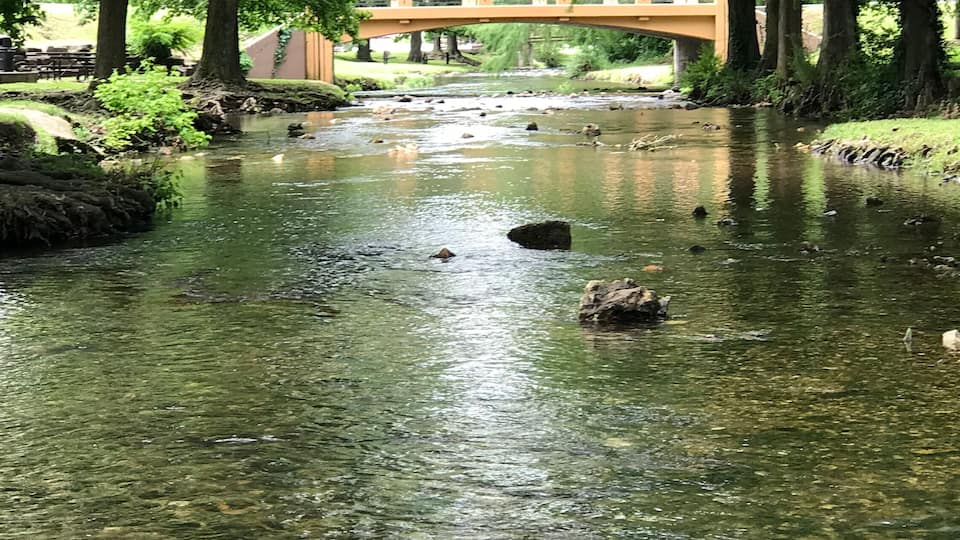 A clear river with rocks, a bridge, and trees.