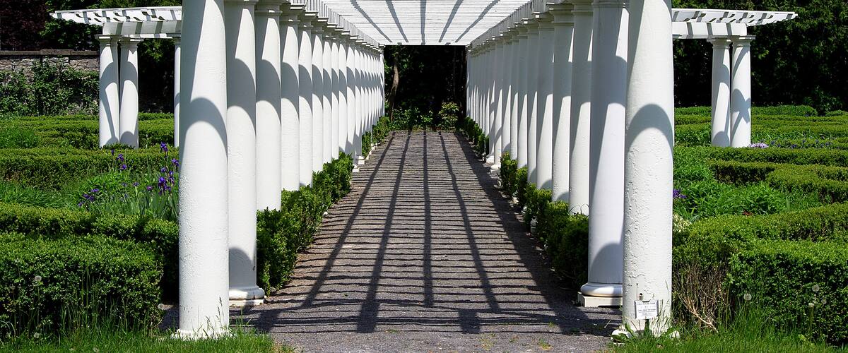 Parallel Lines #3
There are parallel lines in every direction. The gardens are quite extensive and beautiful.