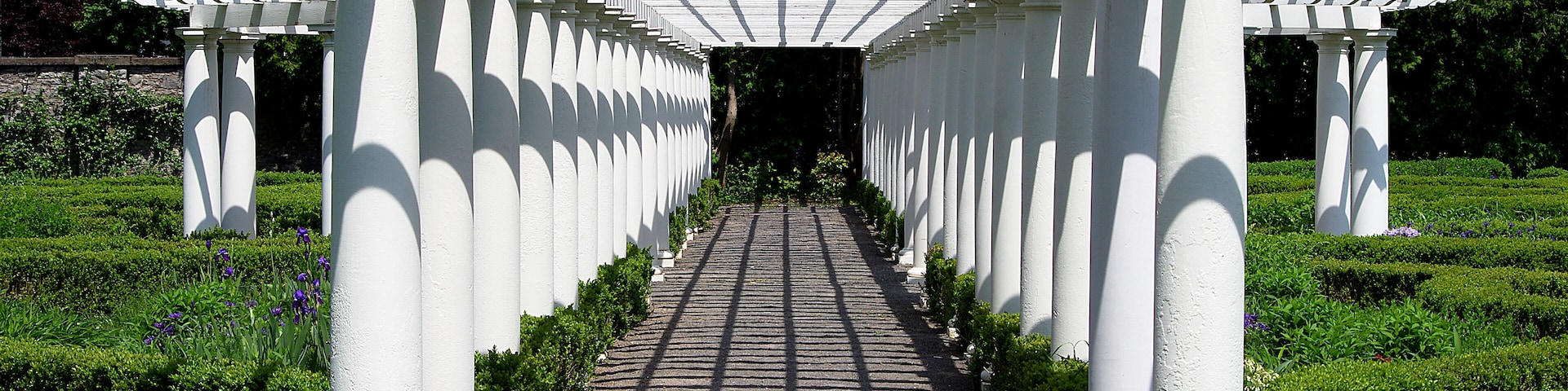 Parallel Lines #3
There are parallel lines in every direction. The gardens are quite extensive and beautiful.