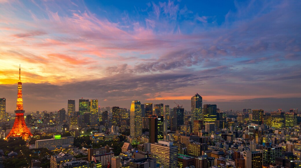 Panorama of Tokyo city skyline view and Tokyo Tower building at Japan with sunset and colorful sky. Beautiful of cloud and sky in dusk and twillight. Tokyo financial and business center zone.