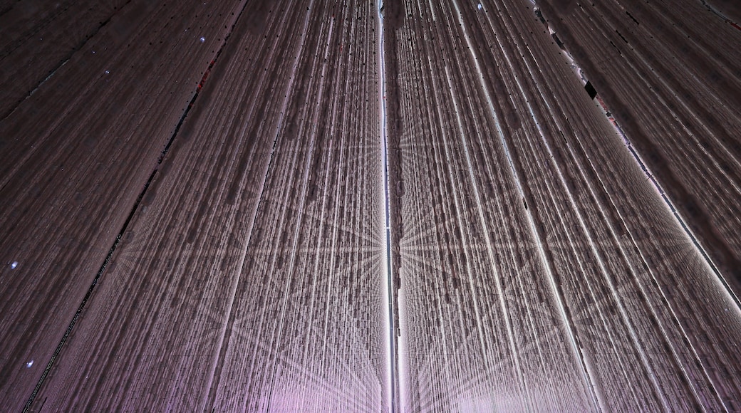 teamLab Planets TOKYO