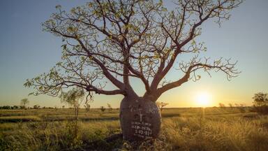 paysages de centre de l'australie dans les années 1980
