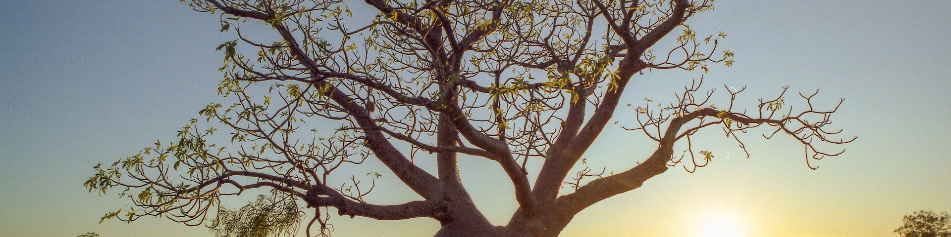 paysages de centre de l'australie dans les années 1980