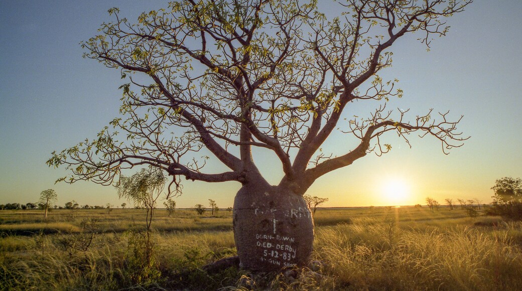 paysages de centre de l'australie dans les années 1980