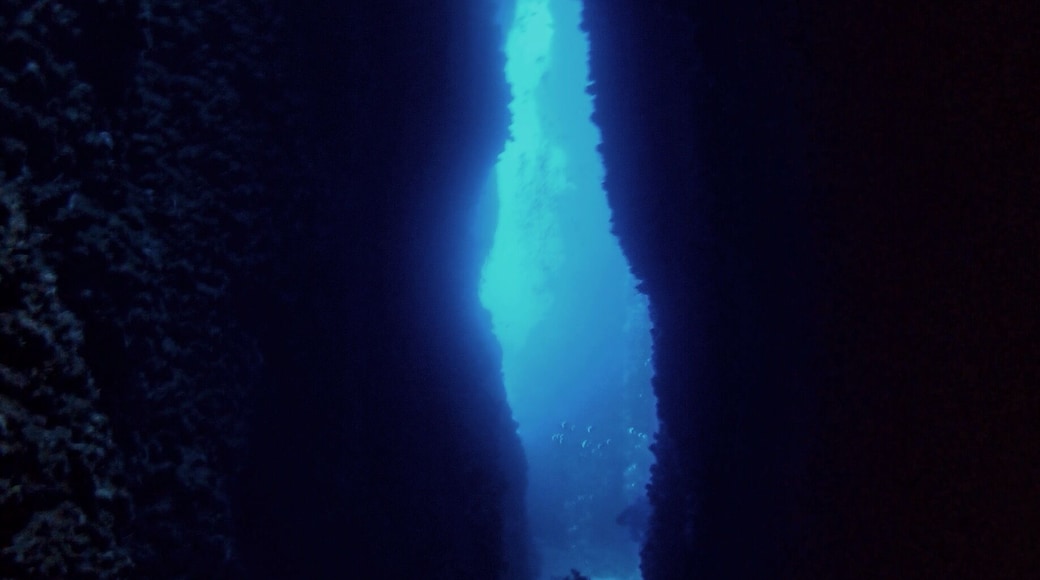 Leru Cut
Underwater cave, Solomon Islands.