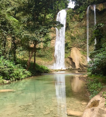 A waterfall cascading into a clear pool surrounded by lush greenery.