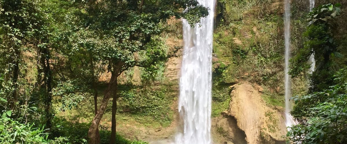 A waterfall cascading into a clear pool surrounded by lush greenery.