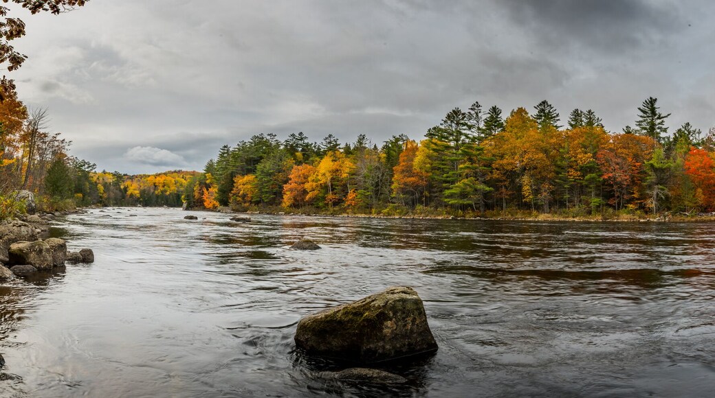 Penobscot River Panorama