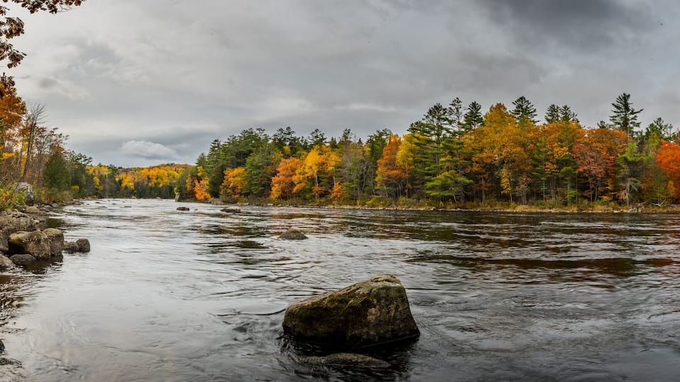 A river flowing through a forest with autumn-colored trees and rocky banks.