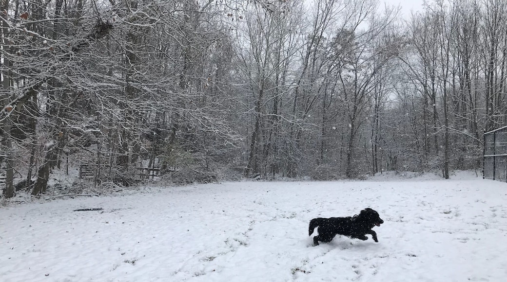 First snow fall in winter 2017
