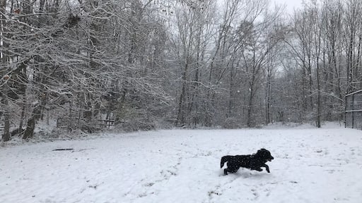 First snow fall in winter 2017