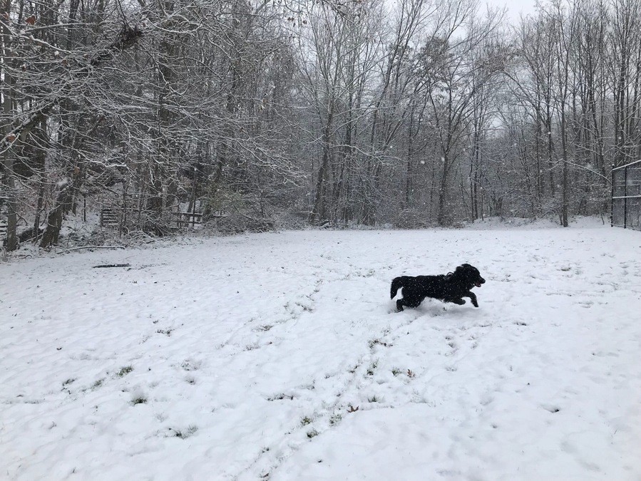 First snow fall in winter 2017