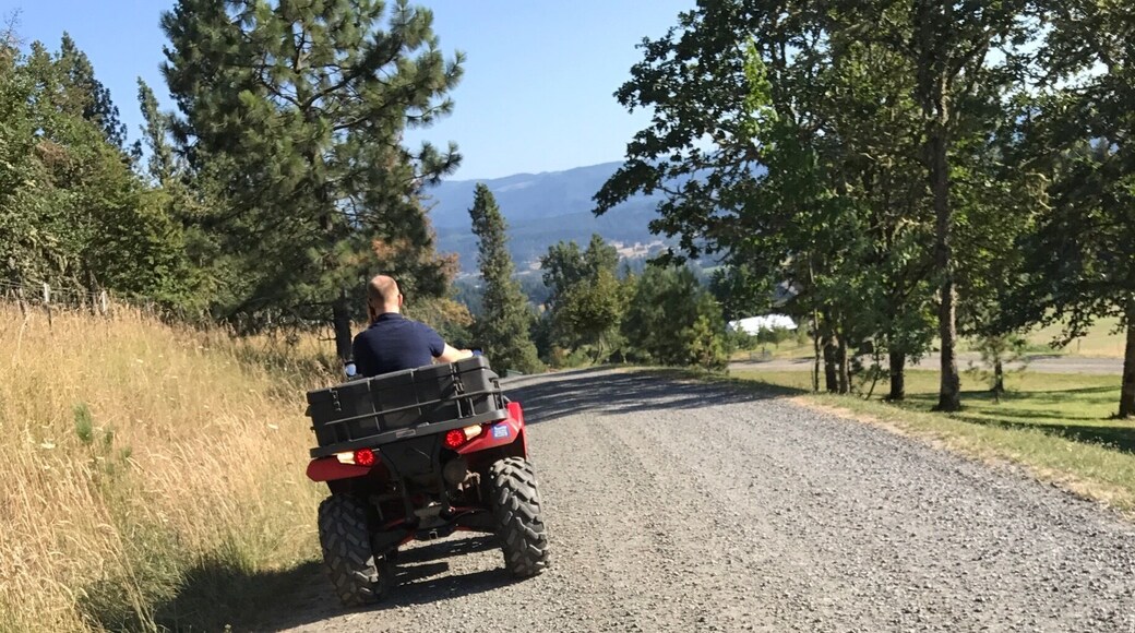 An abandoned airport which is great for ATVing
#lifeatexpedia