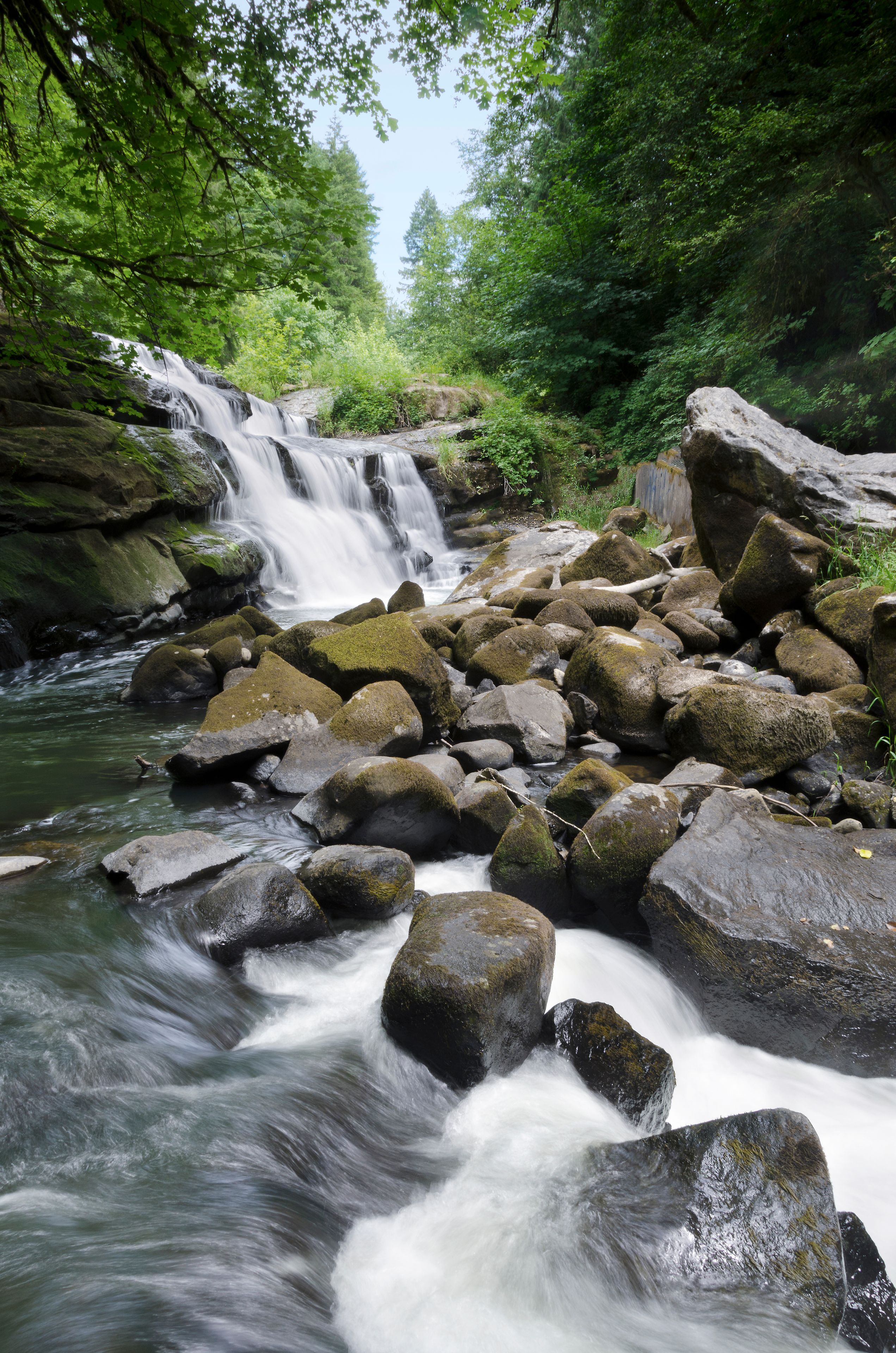 A waterfall cascading over rocks in a forested area.