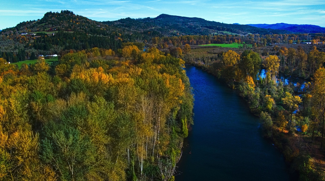 Mckenzie River near Springfield Oregon