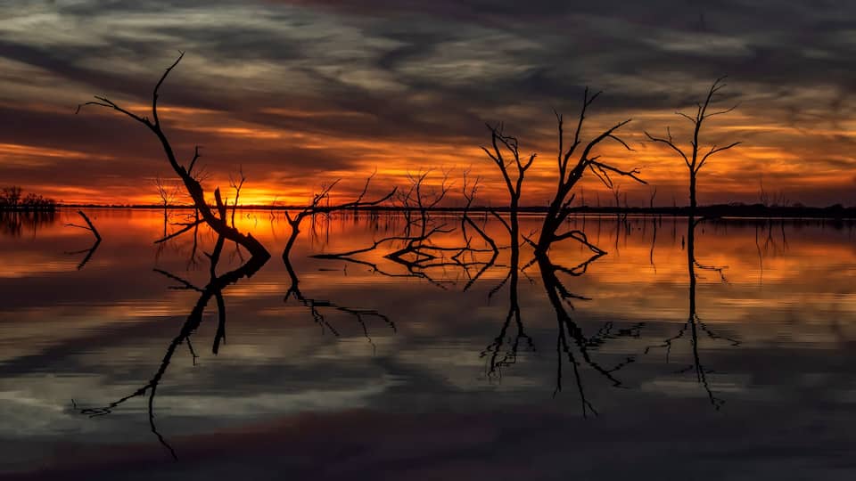 A sunset over a calm lake with bare trees silhouetted against the sky.