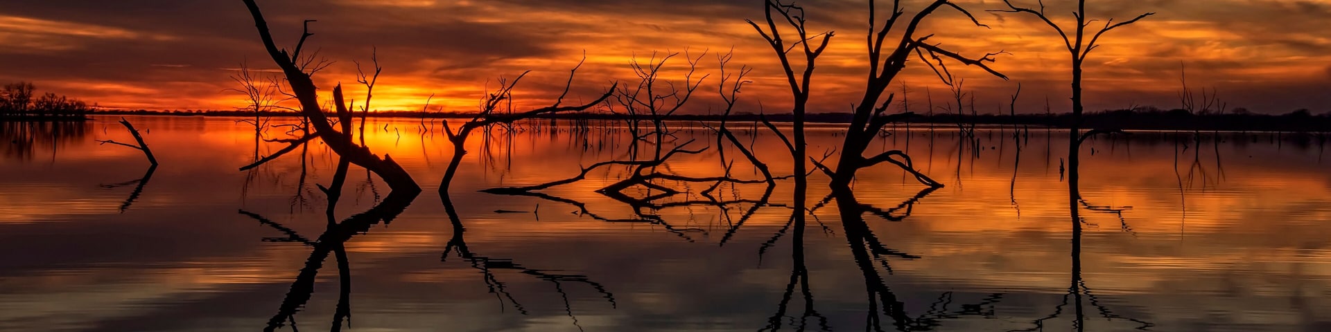 A sunset over a calm lake with bare trees silhouetted against the sky.
