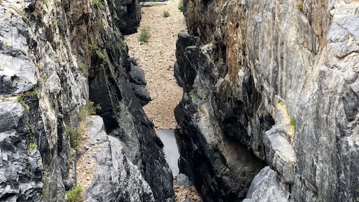 Don’t look down! This was the grand finale to an easy hike that started at an adorable little ranch with farm animals to enjoy. 30 pesos to explore the park.