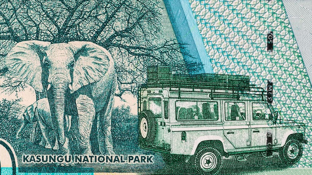 Banknote of 50 kwacha of Malawi with the image of Kasungu national park, fragment for design. Money of Malawi.