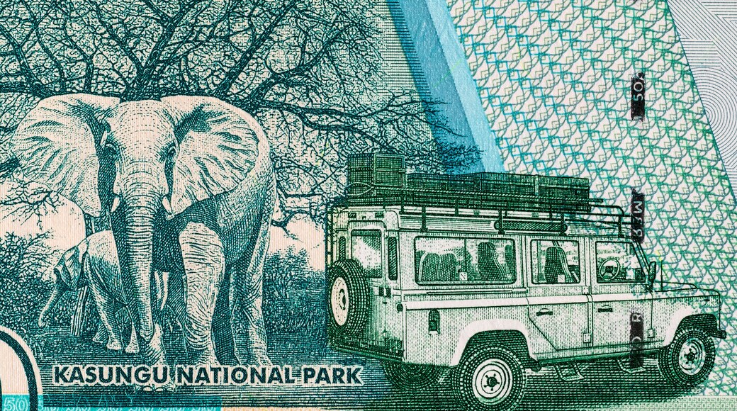 Banknote of 50 kwacha of Malawi with the image of Kasungu national park, fragment for design. Money of Malawi.