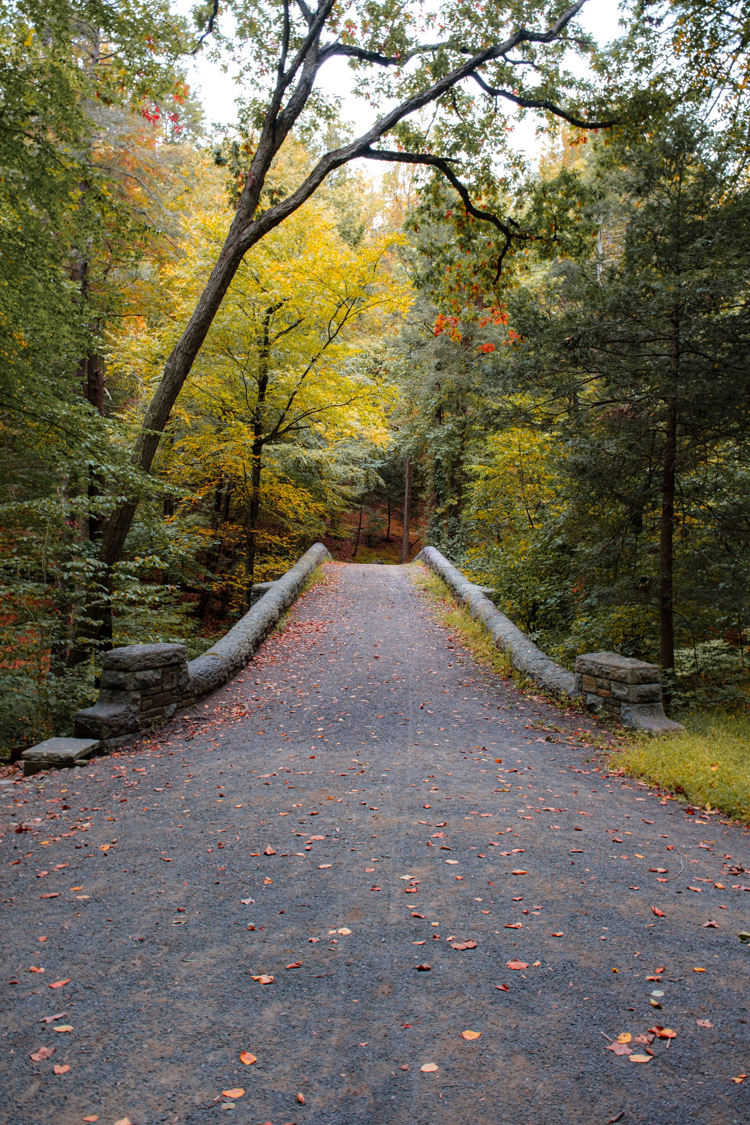 Stone Bridge path in Rockefeller State Park passing over the Pocantico River