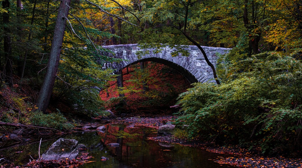 Stone bridge in Rockefeller State Park over the Pocantico River in autumn