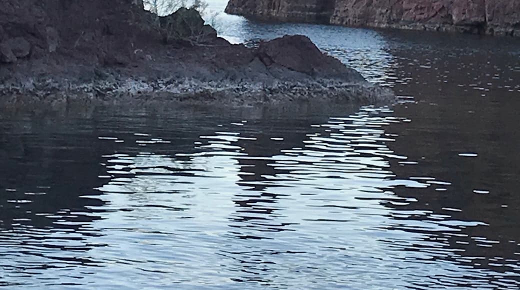 A sunset cruise out of Lake Havasu was amazing