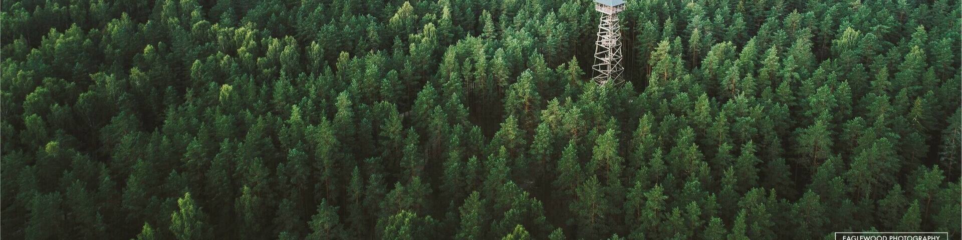 A lone watchtower amongst the vast forests of Latvia contemplating the incoming winter. Drop by on your way from Riga to Liepaja.
www.instagram.com/arvids
www.facebook.com/eaglewoodphotography/