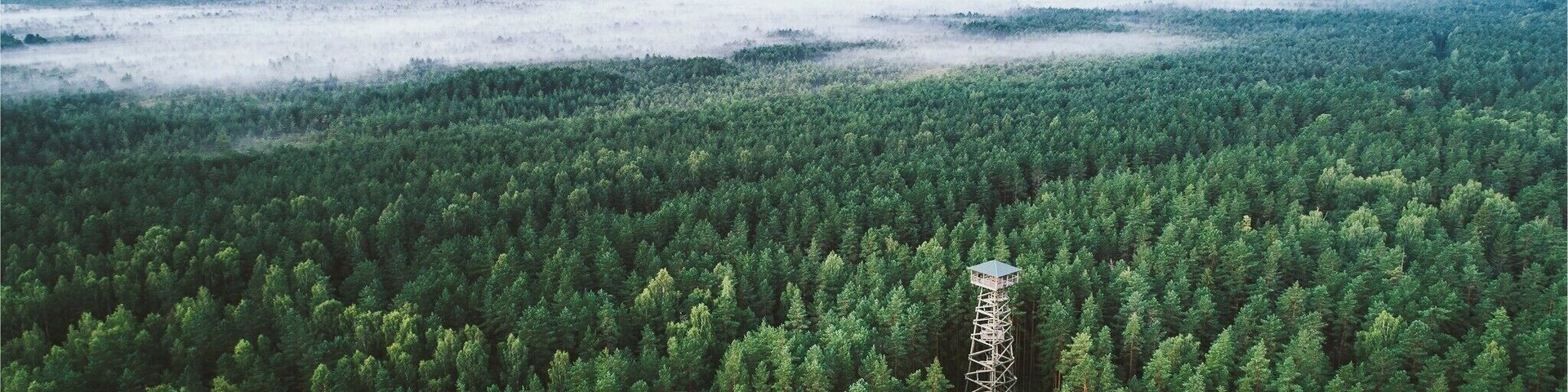 A lone watchtower amongst the vast forests of Latvia contemplating the incoming winter. Drop by on your way from Riga to Liepaja.
www.instagram.com/arvids
www.facebook.com/eaglewoodphotography/