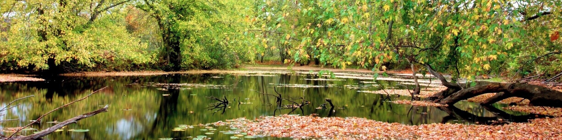 Tranquil autumn pond in Vermont