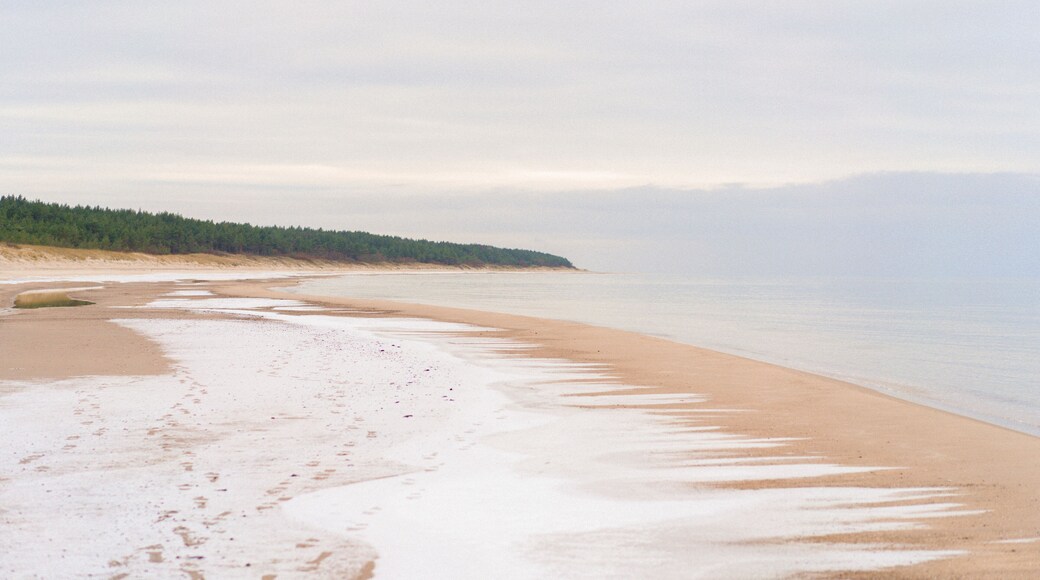 Municipio de Kurzeme del Sur