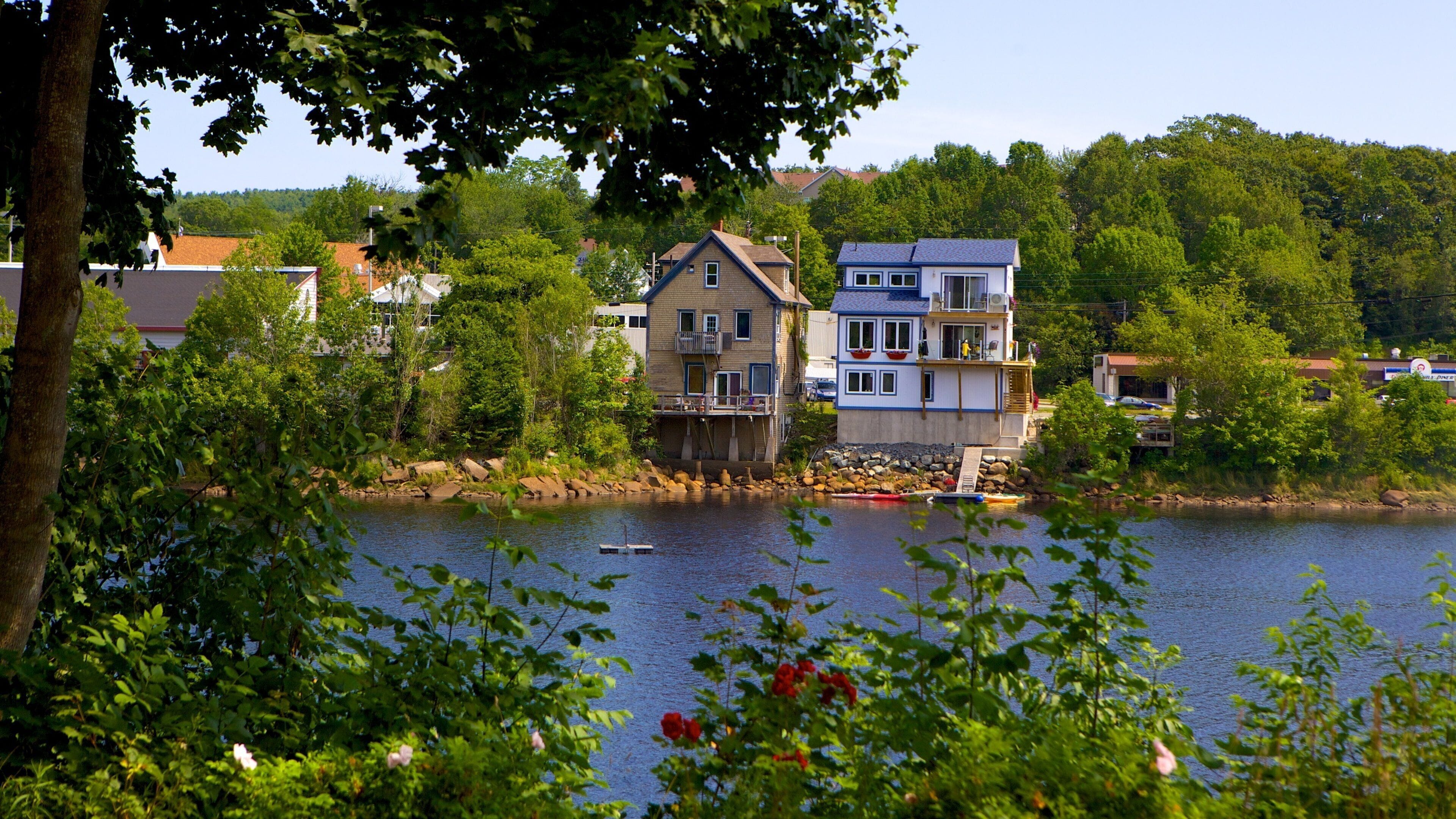 A lakeside town with houses, a dock, and boats.