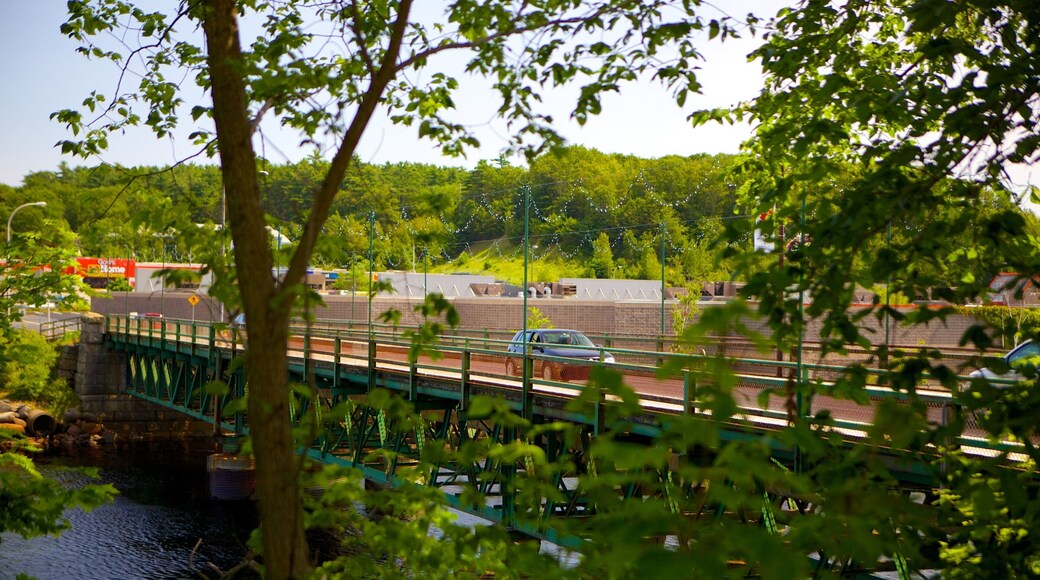 Bridgewater featuring a bridge