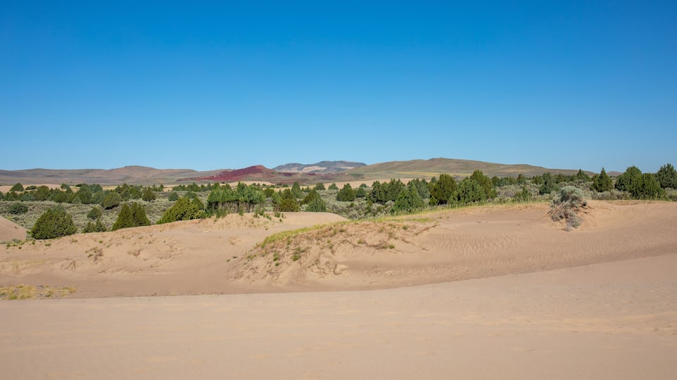 A desert landscape with sand dunes, sparse vegetation, and distant mountains under a clear blue sky.