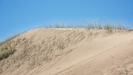 Sand dunes St Anthony Idaho, closeup
