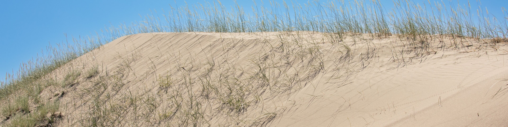 Sand dunes St Anthony Idaho, closeup