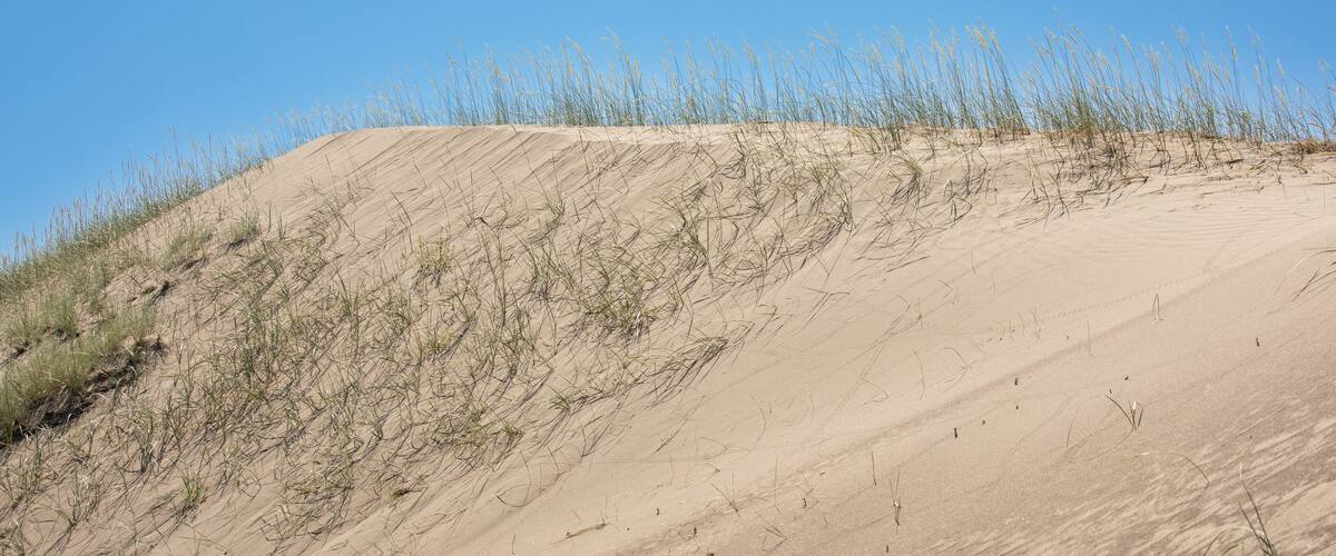 Sand dunes St Anthony Idaho, closeup