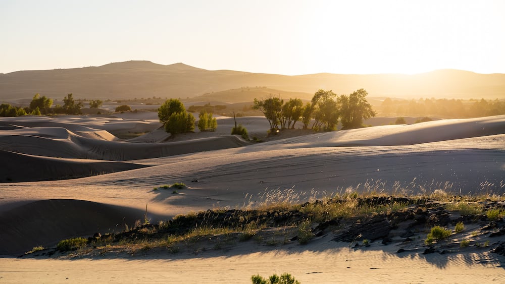 Rolling sand dunes with sparse vegetation and distant hills.