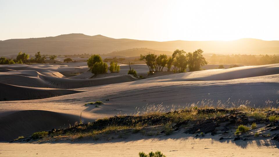 Rolling sand dunes with sparse vegetation and distant hills.