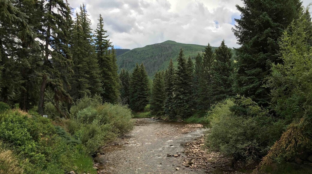 From the Vail Covered Bridge: Awesome‼️