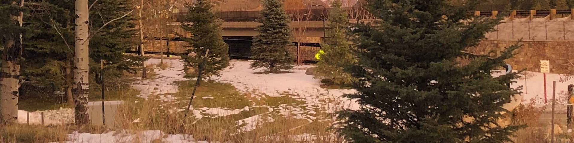 Winter cotton candy sunsets #Trovember