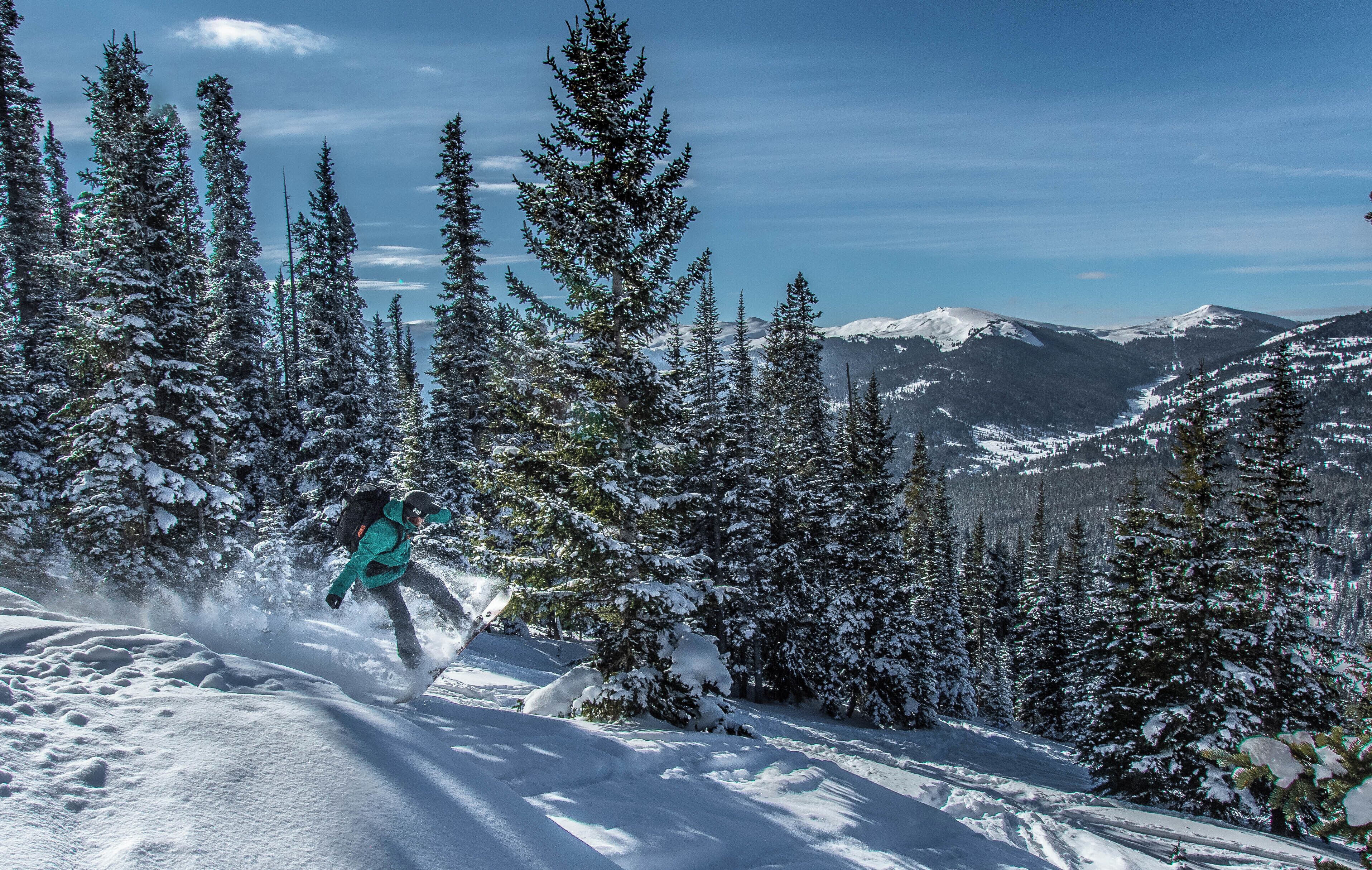 A snowboarder on a snowy slope with evergreen trees and snow-covered mountains in the background.