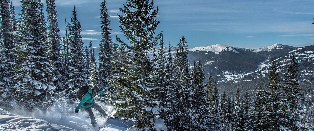 A snowboarder on a snowy slope with evergreen trees and snow-covered mountains in the background.