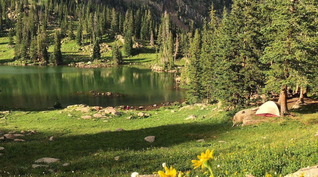 Gore Lake is one of the best hiking and camping trips I've ever experienced! The Gore Creek trail starts at a trail head in East Vail, and climbs 3,400 vertical feet over 6 miles. By no means an easy hike, but worth every step. Vibrant wildflowers pave the way along Gore Creek, through Aspen groves and ultimately to the lake at the top. Amazing campsites are everywhere, no permits needed!