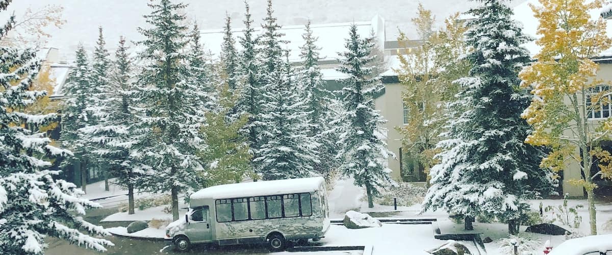 First snow of winter gorgeous morning