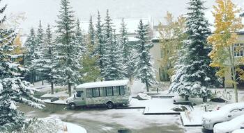 First snow of winter gorgeous morning